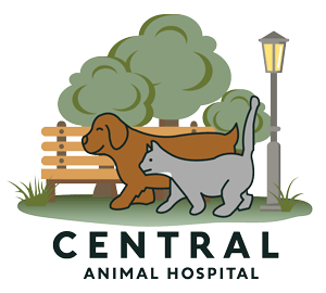 Central Animal Hospital of Stoneham